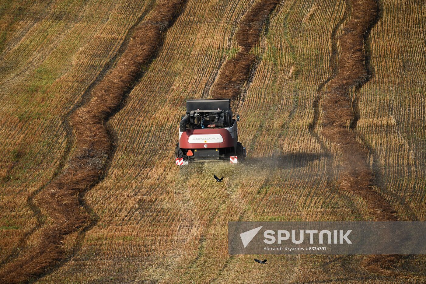 Russia Private Farm