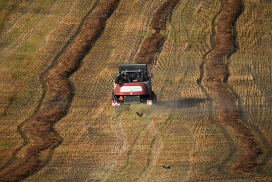 Russia Private Farm