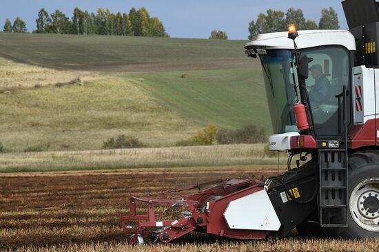 Russia Private Farm