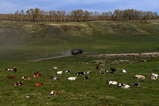 Russia Private Farm