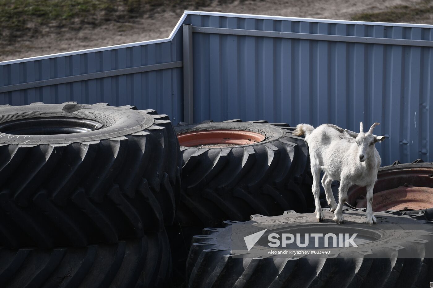 Russia Private Farm