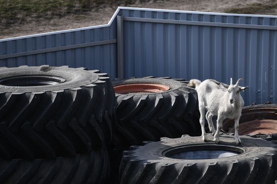 Russia Private Farm