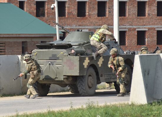 Ukraine NATO Military Drills