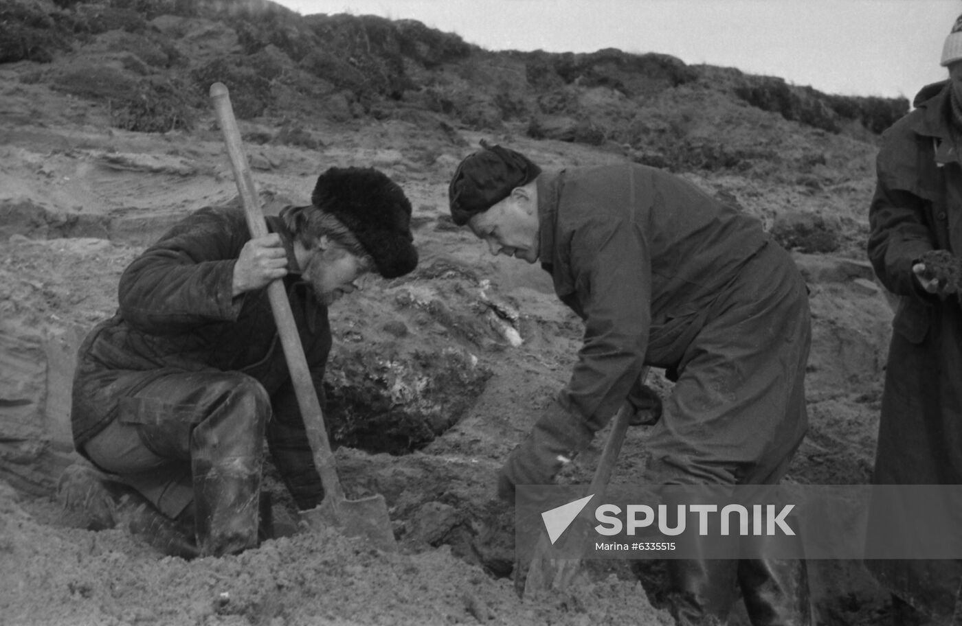 Paleontology expedition to Gyda Peninsula