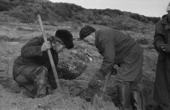 Paleontology expedition to Gyda Peninsula