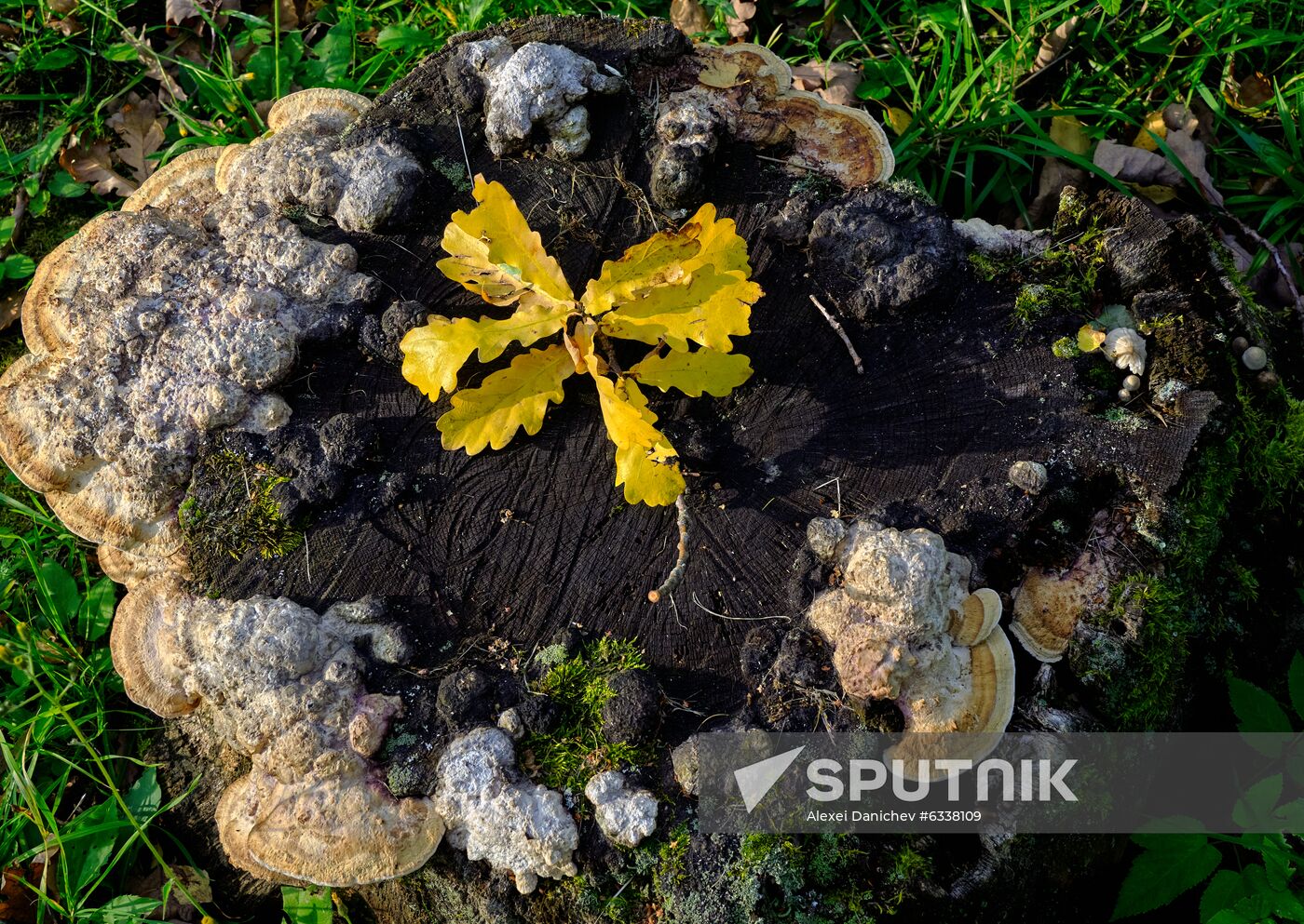 Russia Autumn