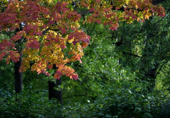 Russia Autumn