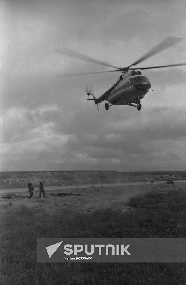 Paleontology expedition to Gyda Peninsula
