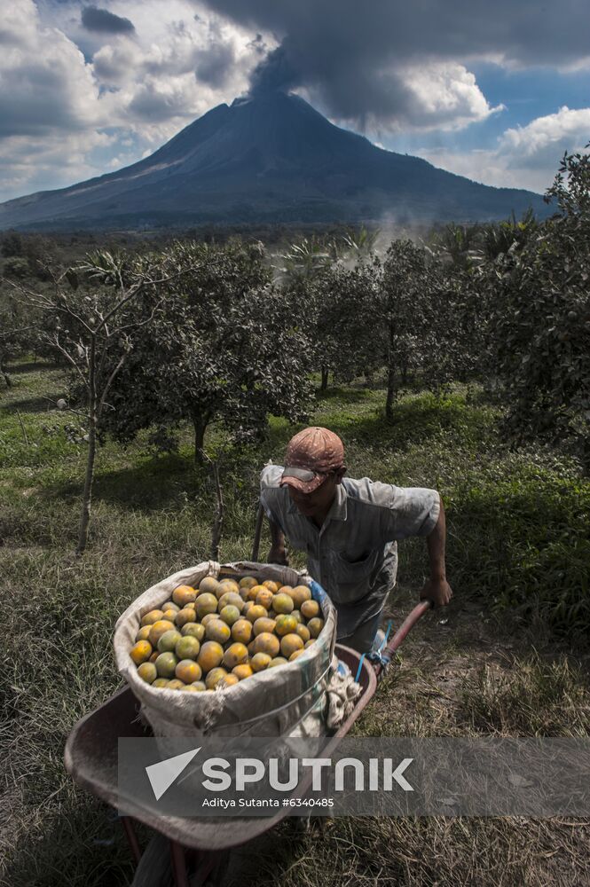 Indonesia Volcano Eruption