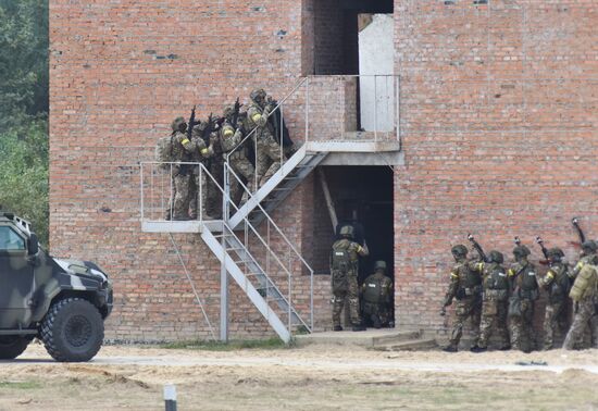 Ukraine NATO Military Drills