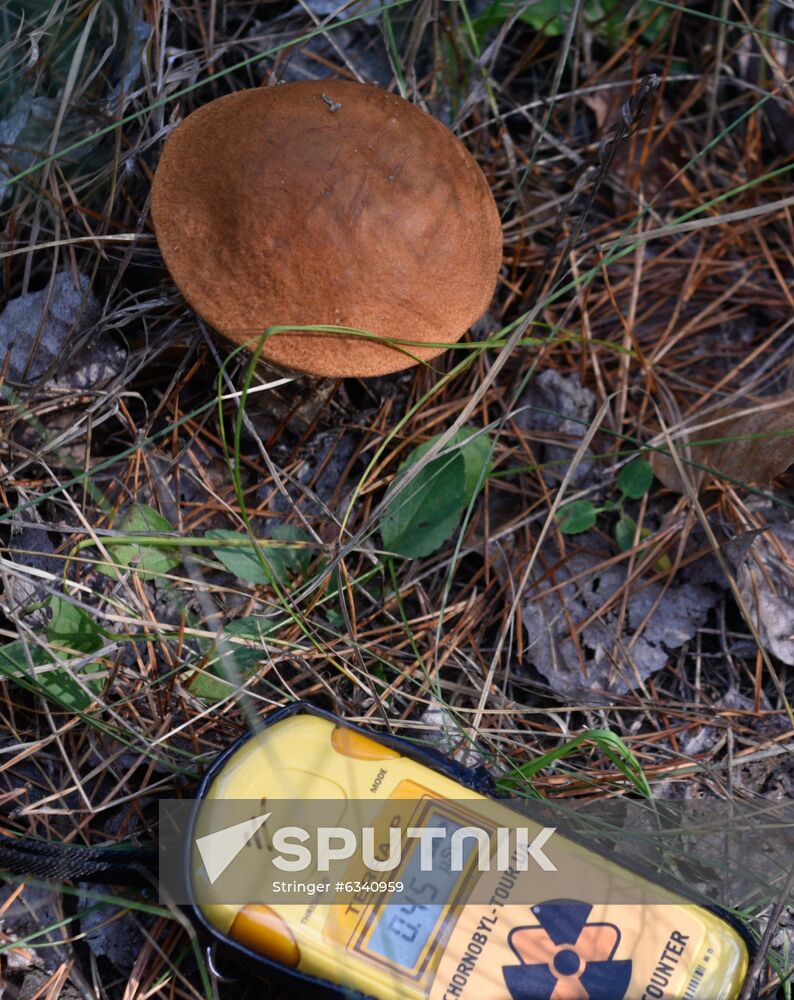 Ukraine Chernobyl Exclusion Zone