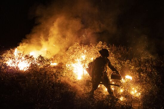 US Wildfires