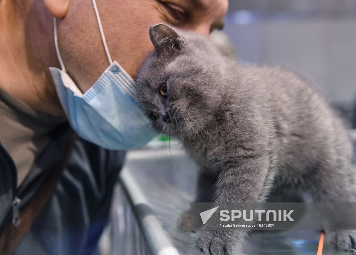 Russia Cats Show