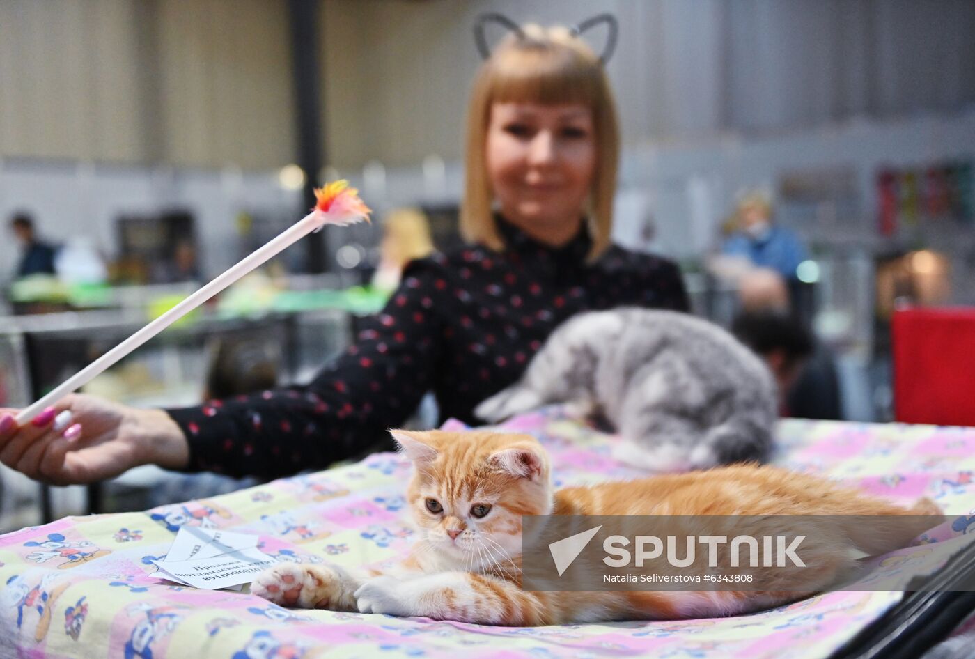 Russia Cats Show