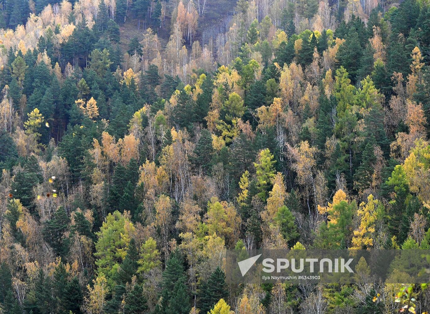 Russia Autumn