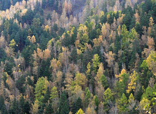 Russia Autumn