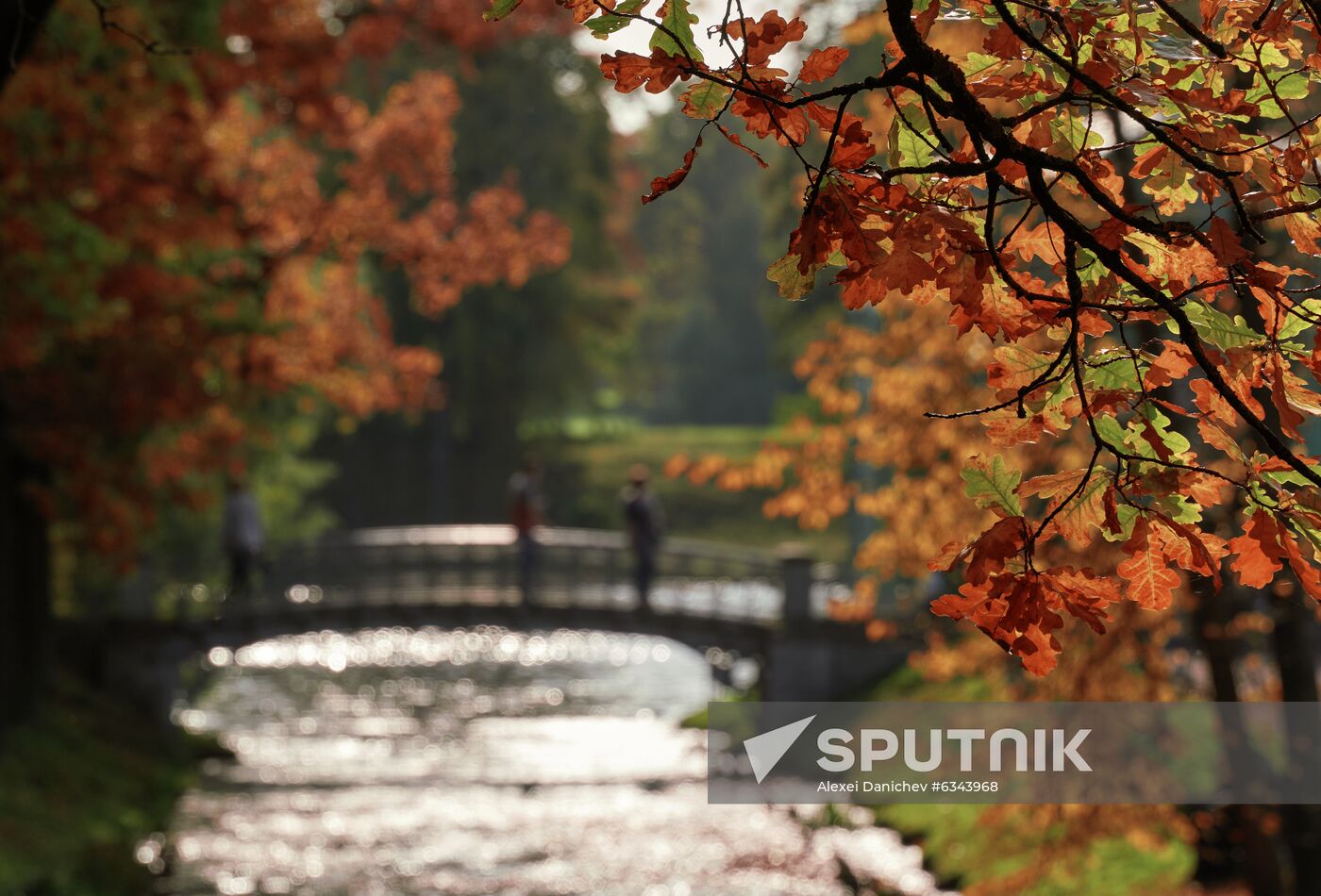Russia Autumn