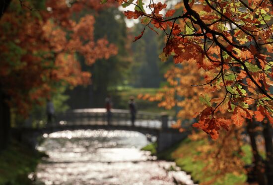 Russia Autumn