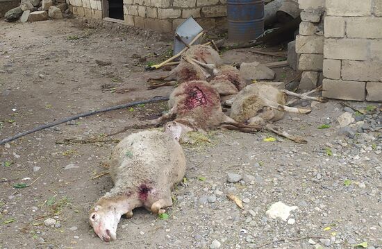 Azerbaijan Armenia Escalation