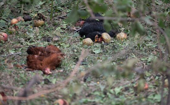 Azerbaijan Armenia Escalation