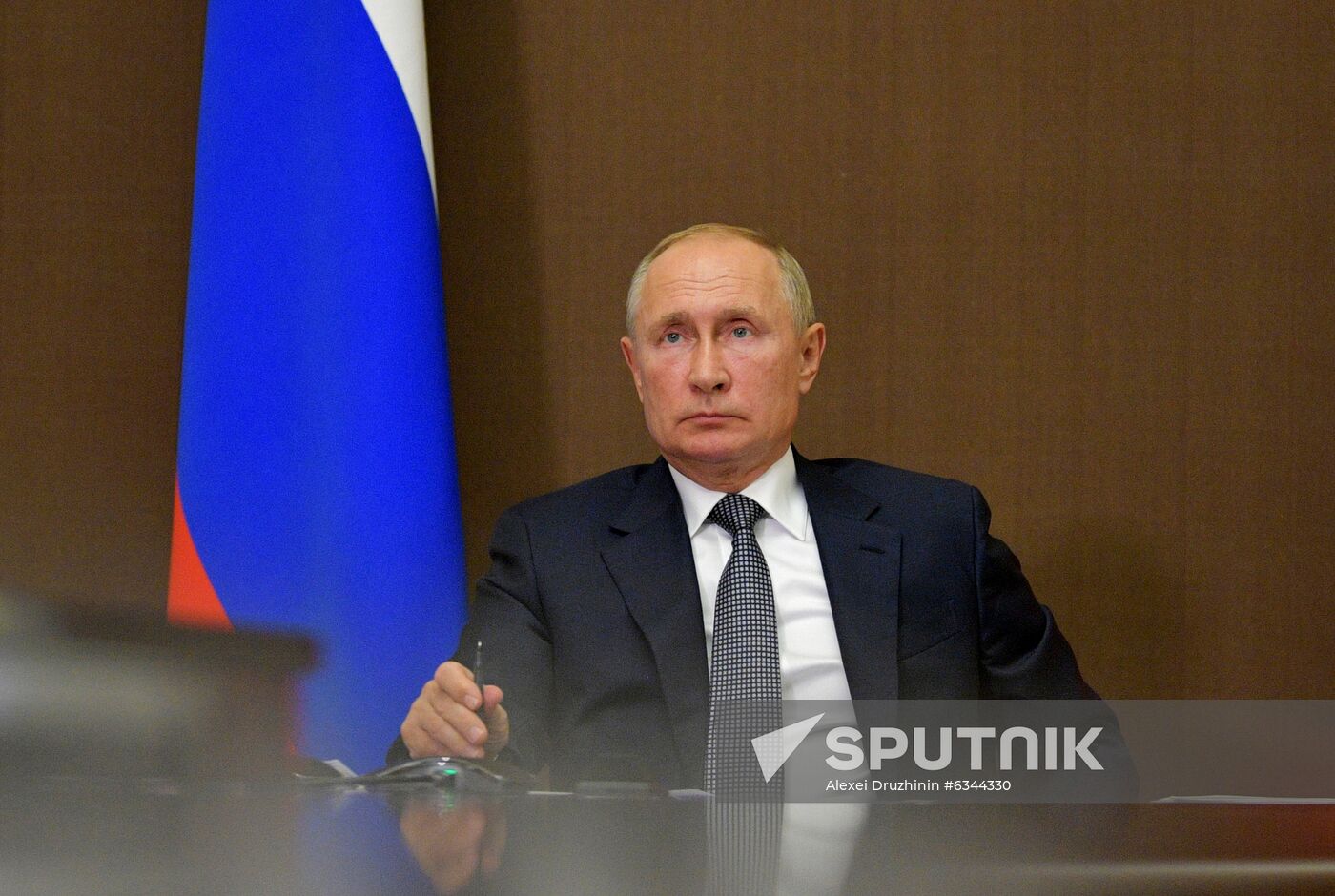 Russia Putin State Council