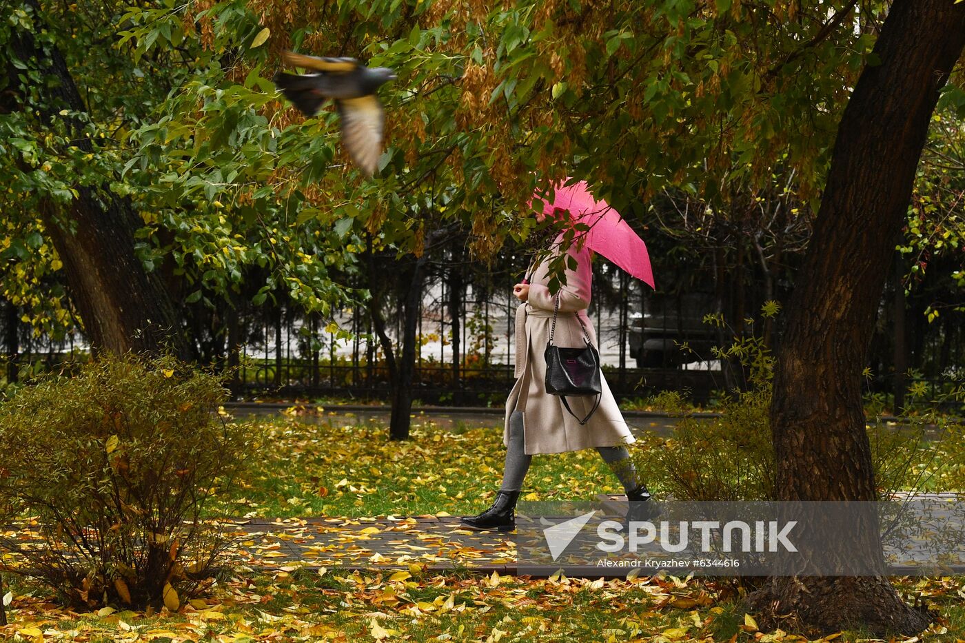 Russia Autumn