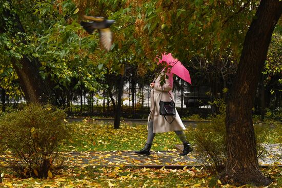 Russia Autumn