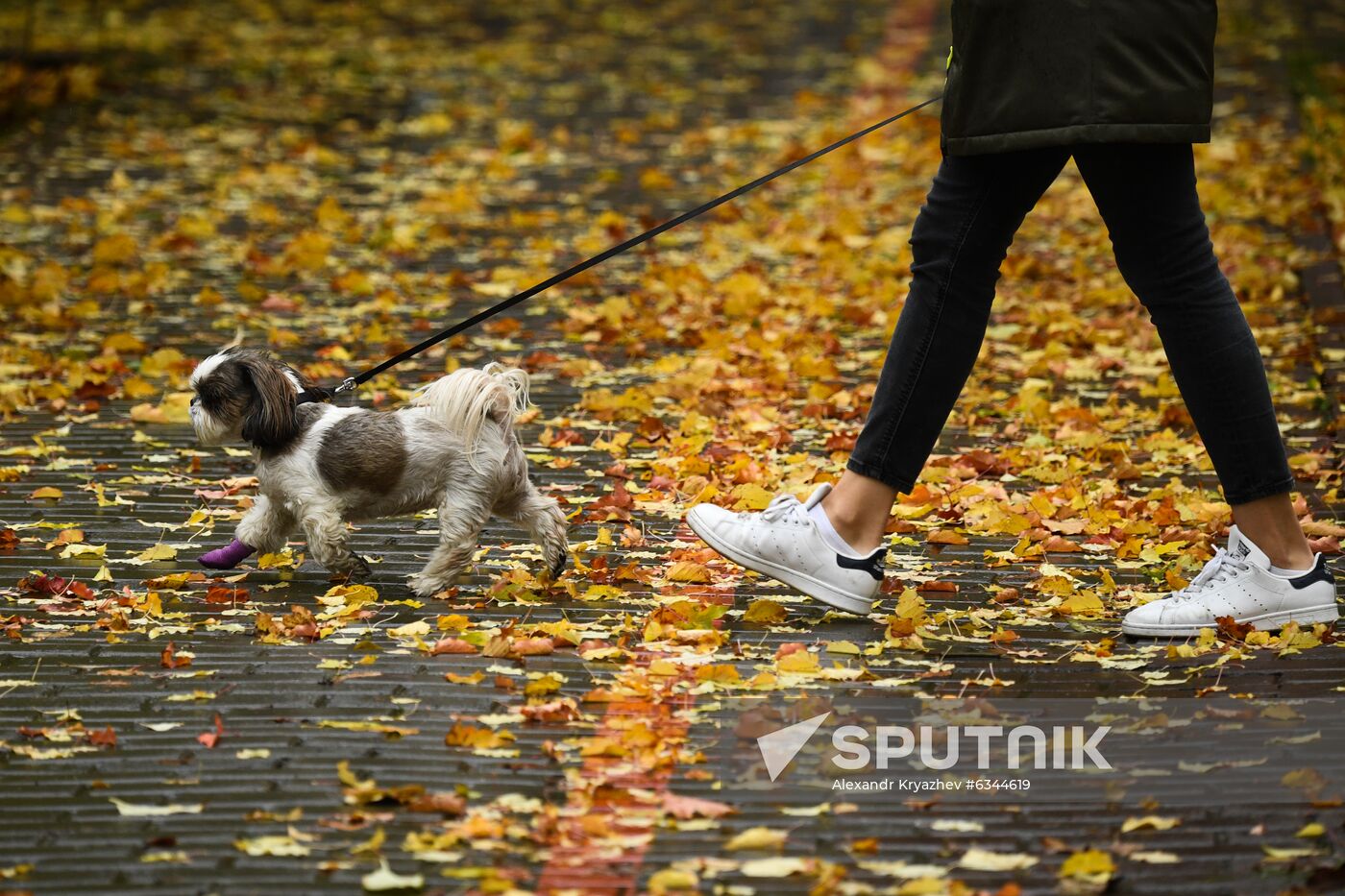 Russia Autumn