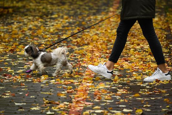 Russia Autumn