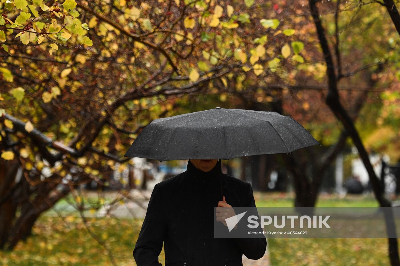 Russia Autumn