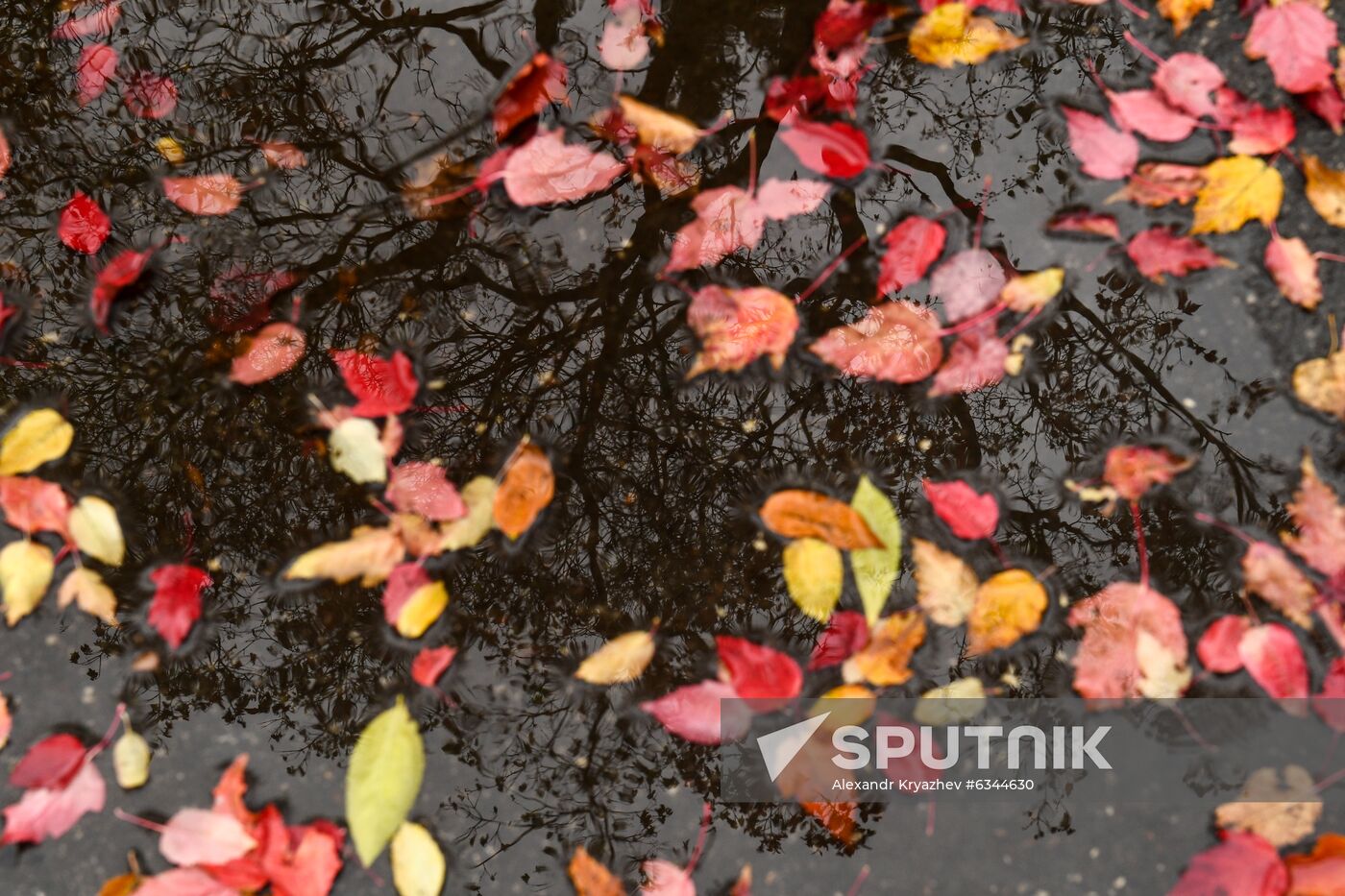Russia Autumn
