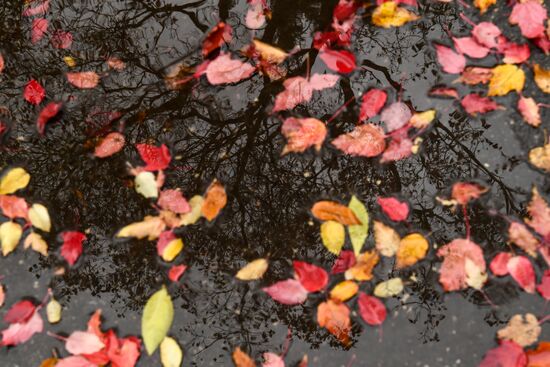 Russia Autumn