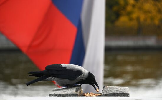 Russia Autumn