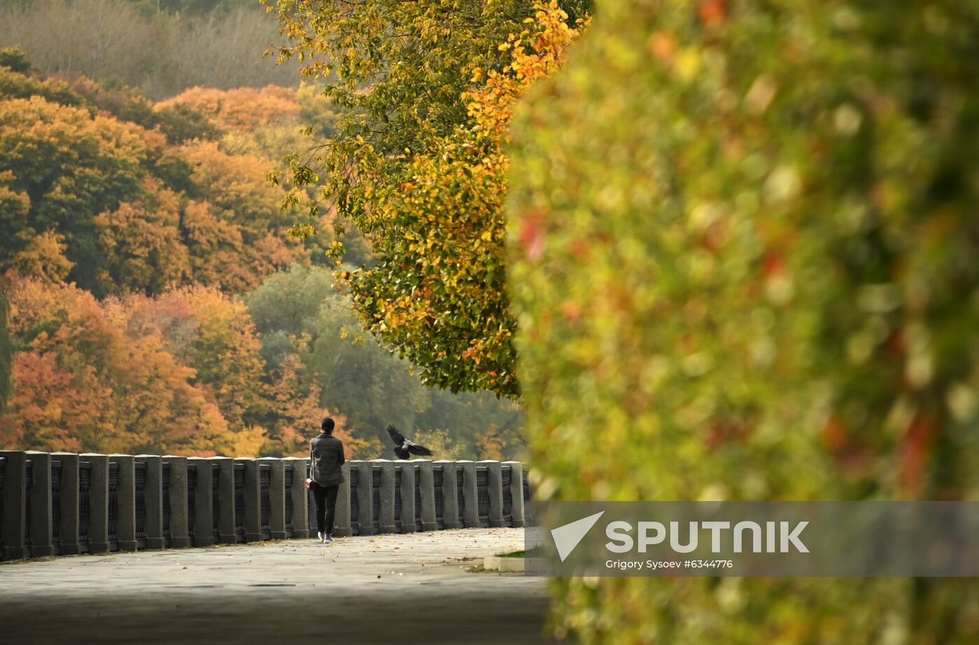 Russia Autumn