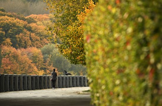Russia Autumn