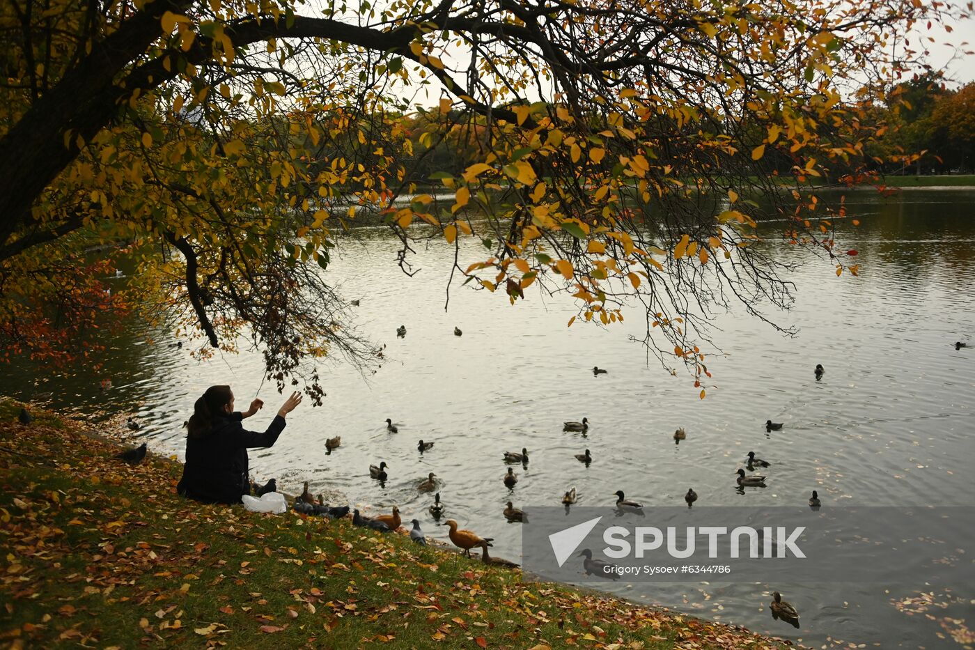 Russia Autumn