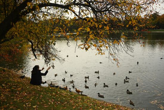 Russia Autumn
