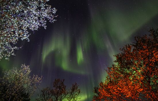 Russia Aurora Borealis