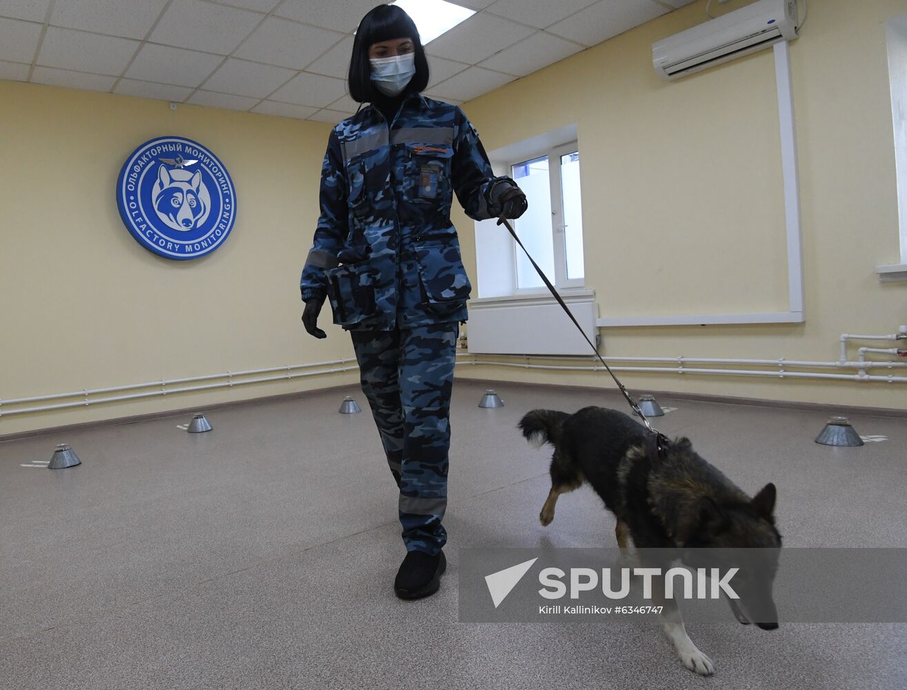 Russia Coronavirus Dogs Training