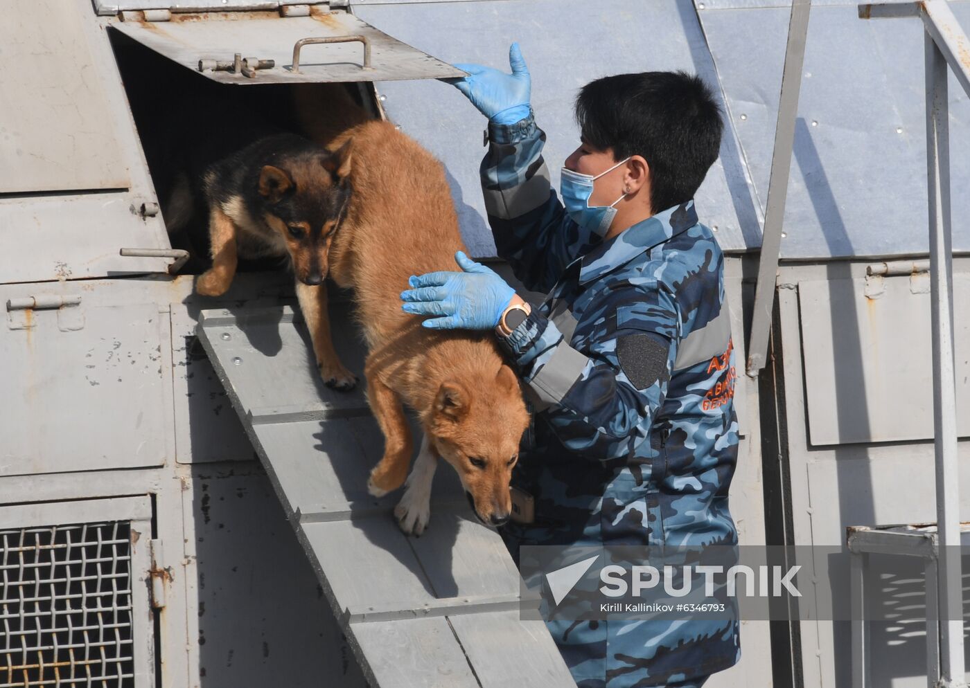 Russia Coronavirus Dogs Training
