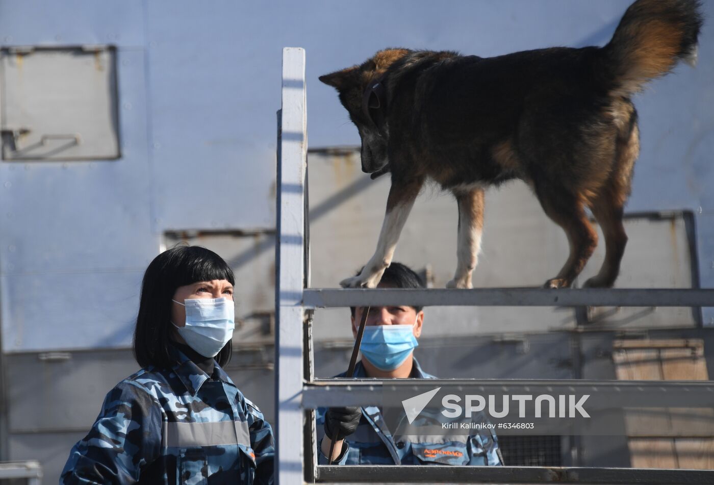 Russia Coronavirus Dogs Training