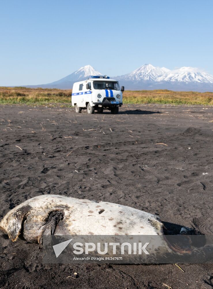 Russia Kamchatka Pacific Ocean Pollution