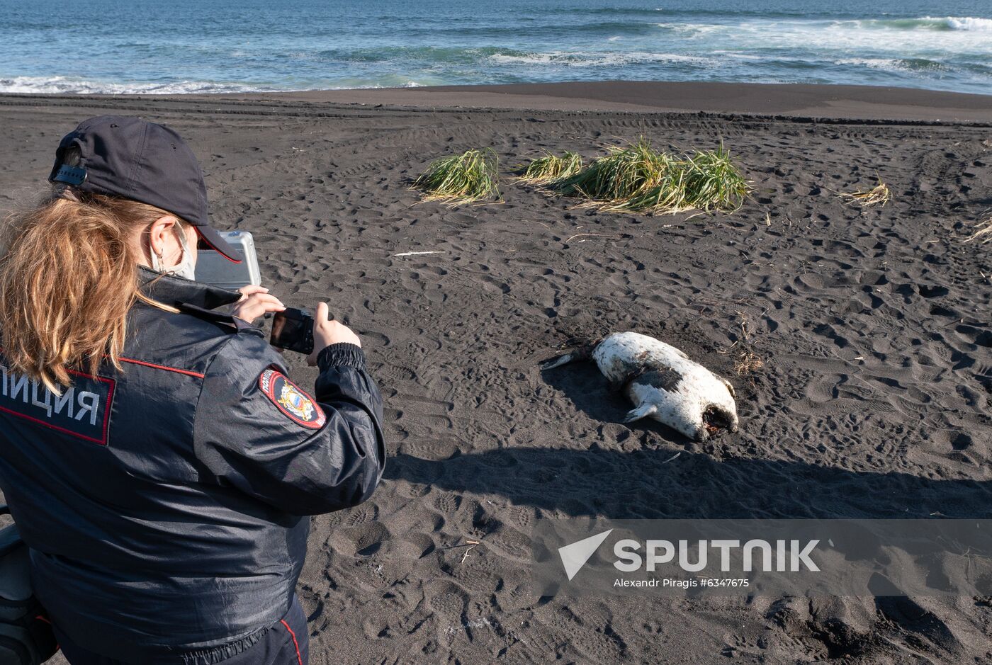 Russia Kamchatka Pacific Ocean Pollution