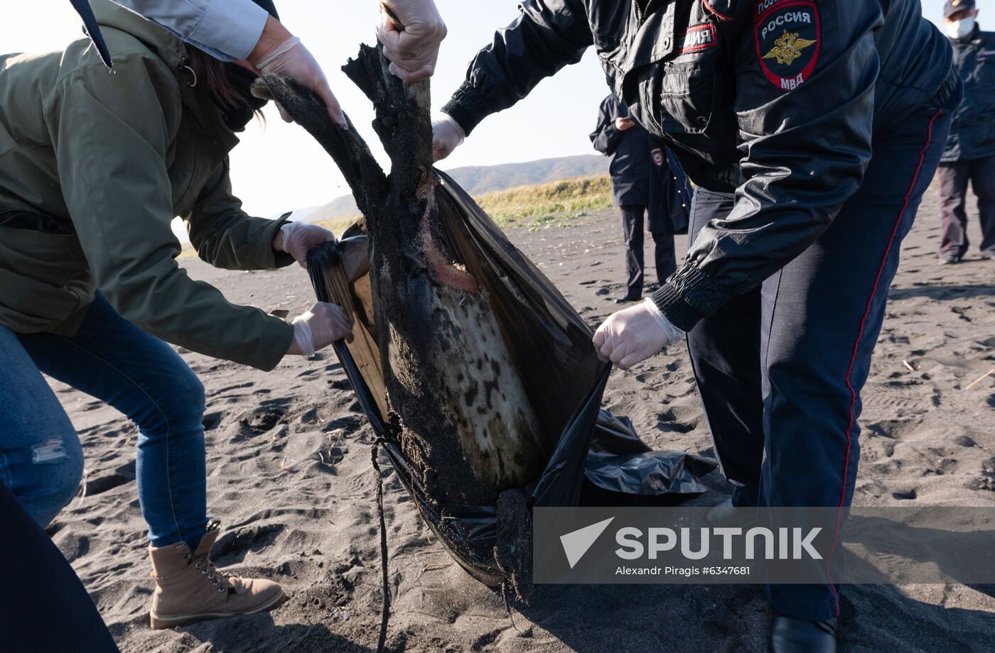 Russia Kamchatka Pacific Ocean Pollution