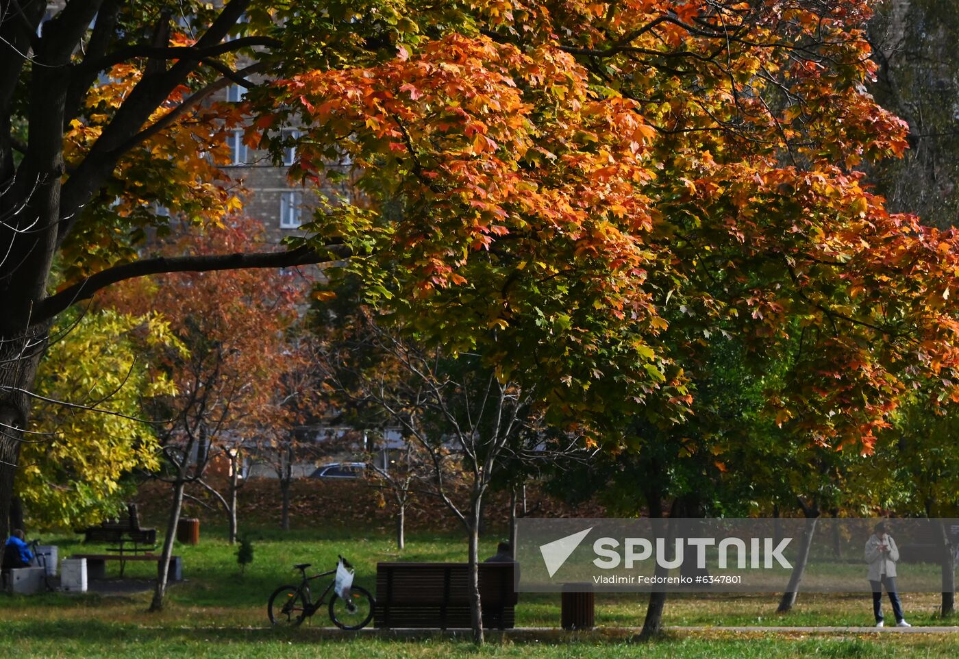 Russia Autumn