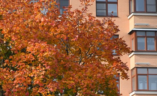 Russia Autumn