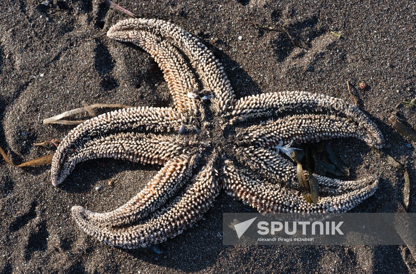Russia Kamchatka Pacific Ocean Pollution