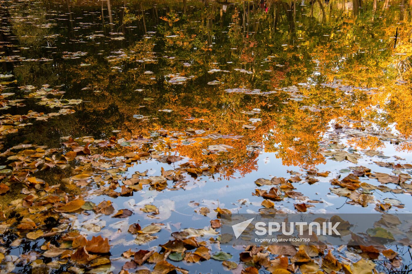 Russia Autumn