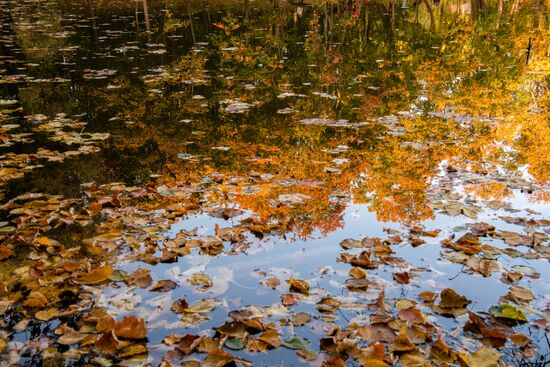 Russia Autumn