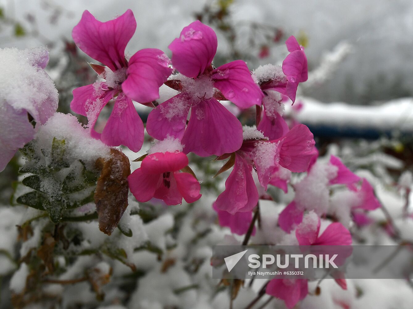 Russia Snowfall